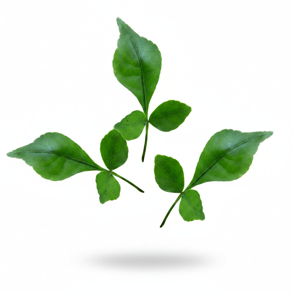 Bel Patra Green-54+1 Leaves