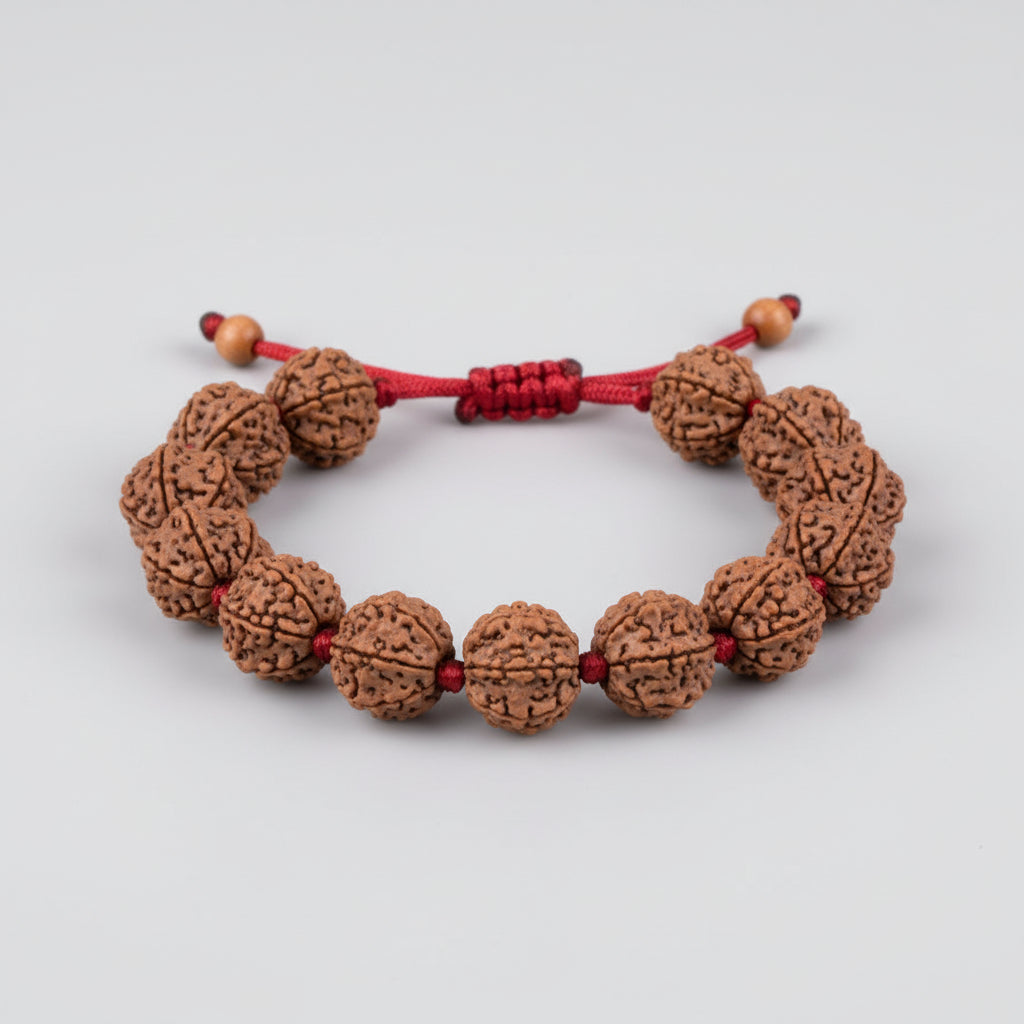 6 Mukhi Nepal Rudraksha beads bracelet