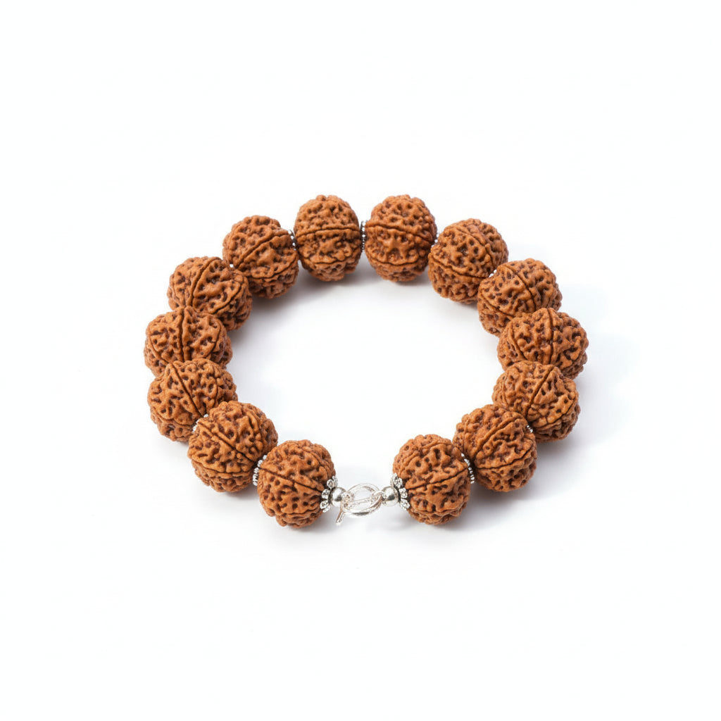 10 Mukhi Krishna Bracelet-Regular-Silver Chakri
