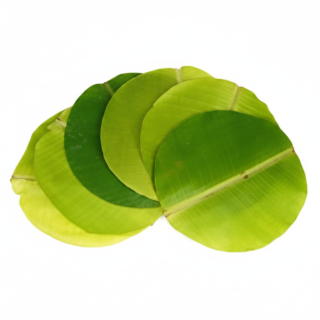 Banana leaves-Set of 24 (Round Leaves)