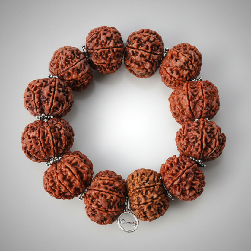 11 Mukhi Sadhana Bracelet-Small-Silver Chakri