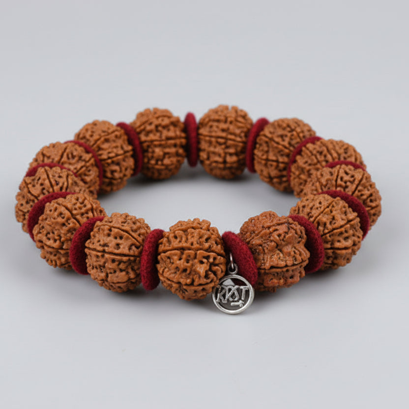 11 Mukhi Sadhana Bracelet-Collector-Silver Chakri