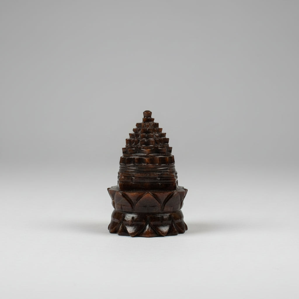 Gomedh Shree Yantra on Lotus 181 gms