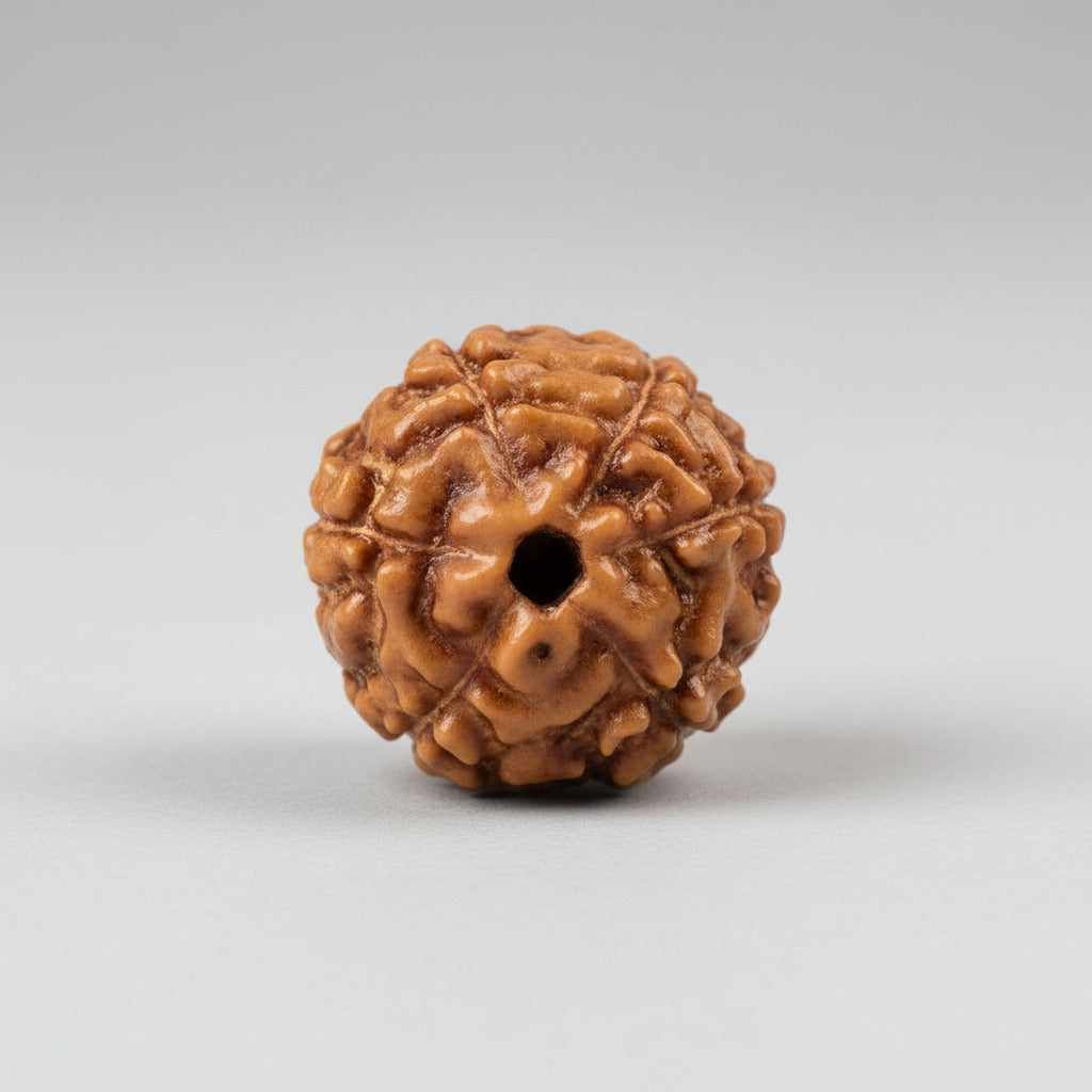 Six Mukhi from Java Indonesia