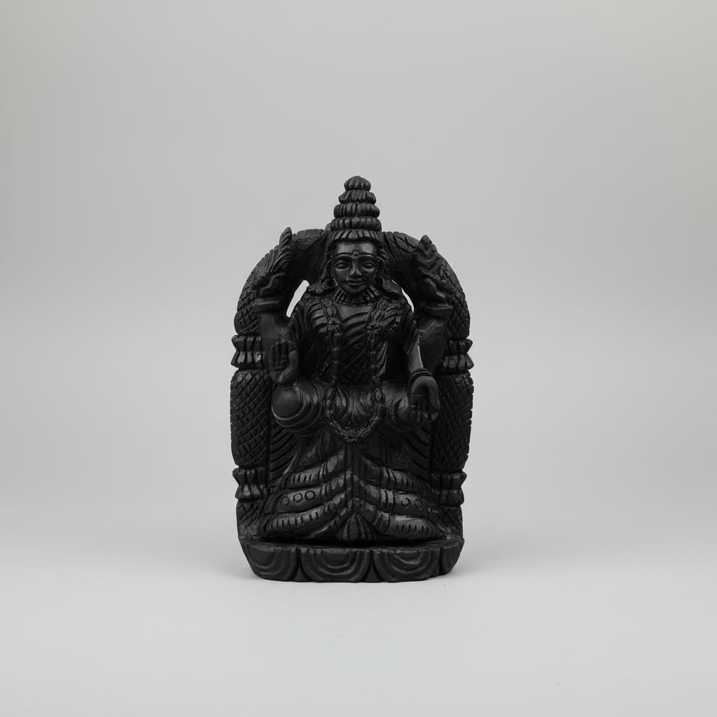 Padmavati Shaligram Murti