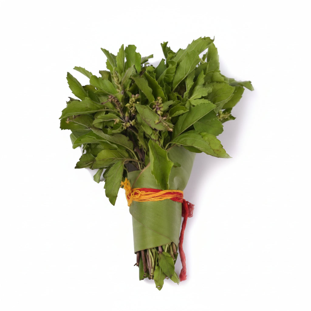 Tulsi Leaves-Set of 3