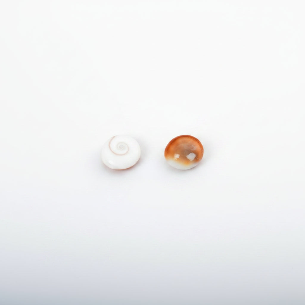 Gomati Chakra Small-Set of 21