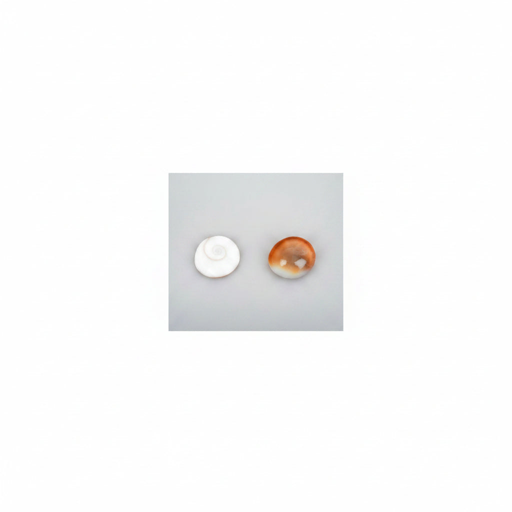 Gomati Chakra Small-Green Top