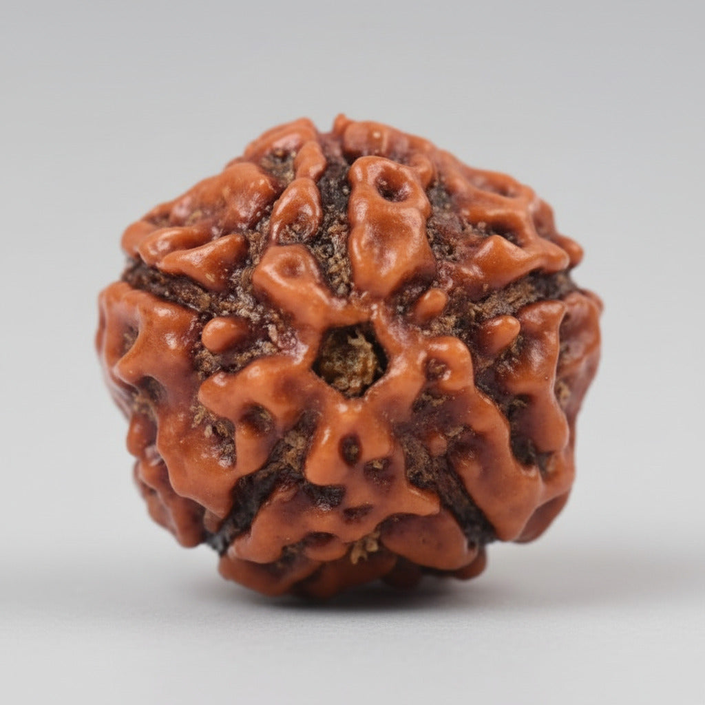 Five Mukhi from Java Indonesia