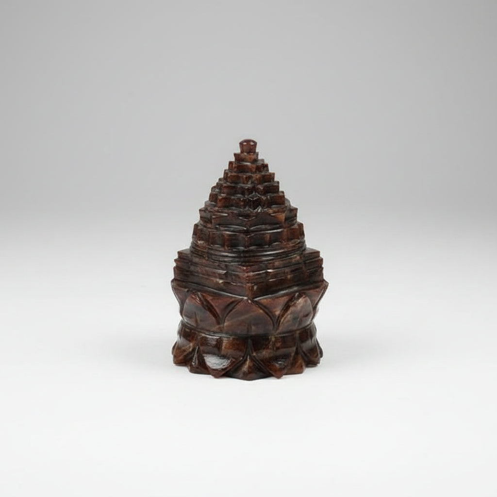 Gomedh Shree Yantra on Lotus 181 gms
