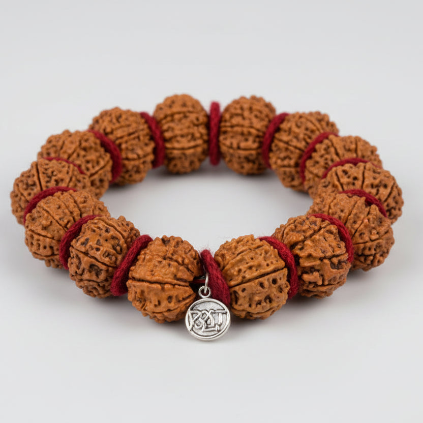 10 Mukhi Krishna Bracelet-Regular-Silver Chakri