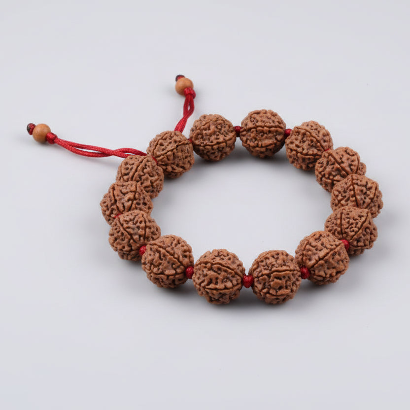 6 Mukhi Nepal Rudraksha beads bracelet