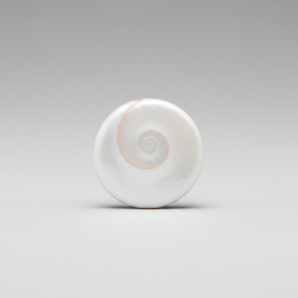 Gomati Chakra Small-Set of 11