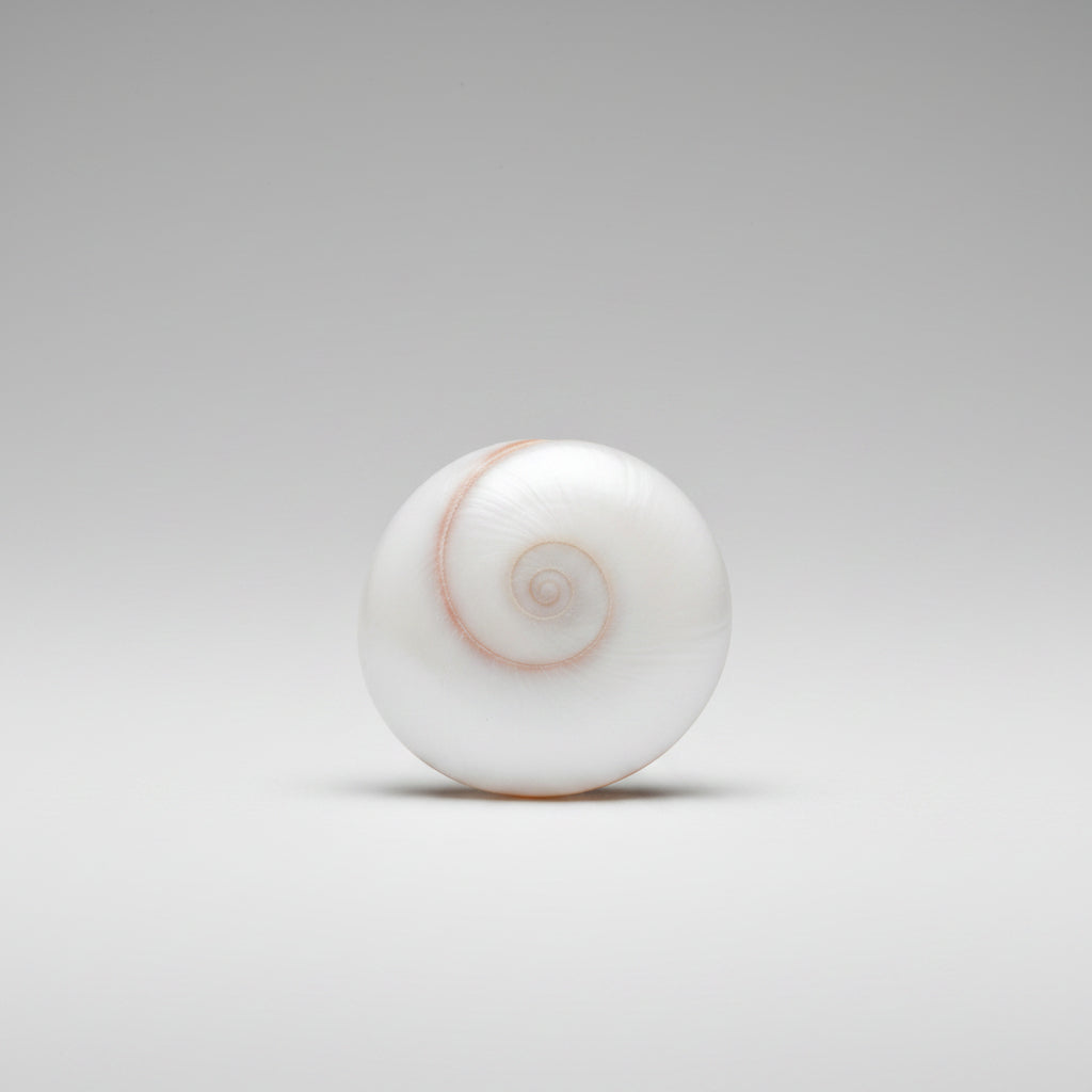 Gomati Chakra Small-Set of 21