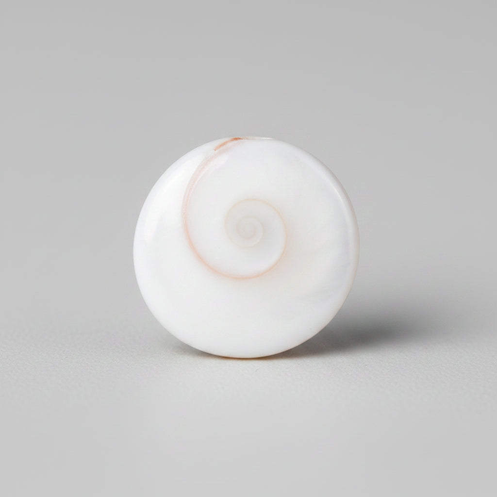 Gomati Chakra Small-Red Top