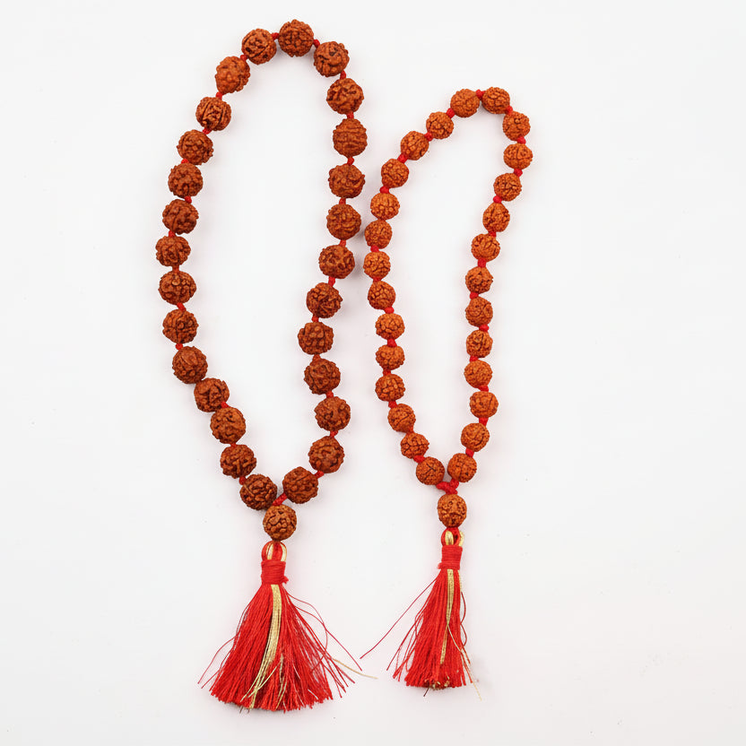 Rudraksha Mala Set Of 9 (8 mm)-Without Knots