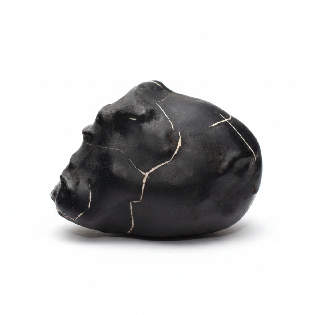 Maha Varaha Roopam Shaligram