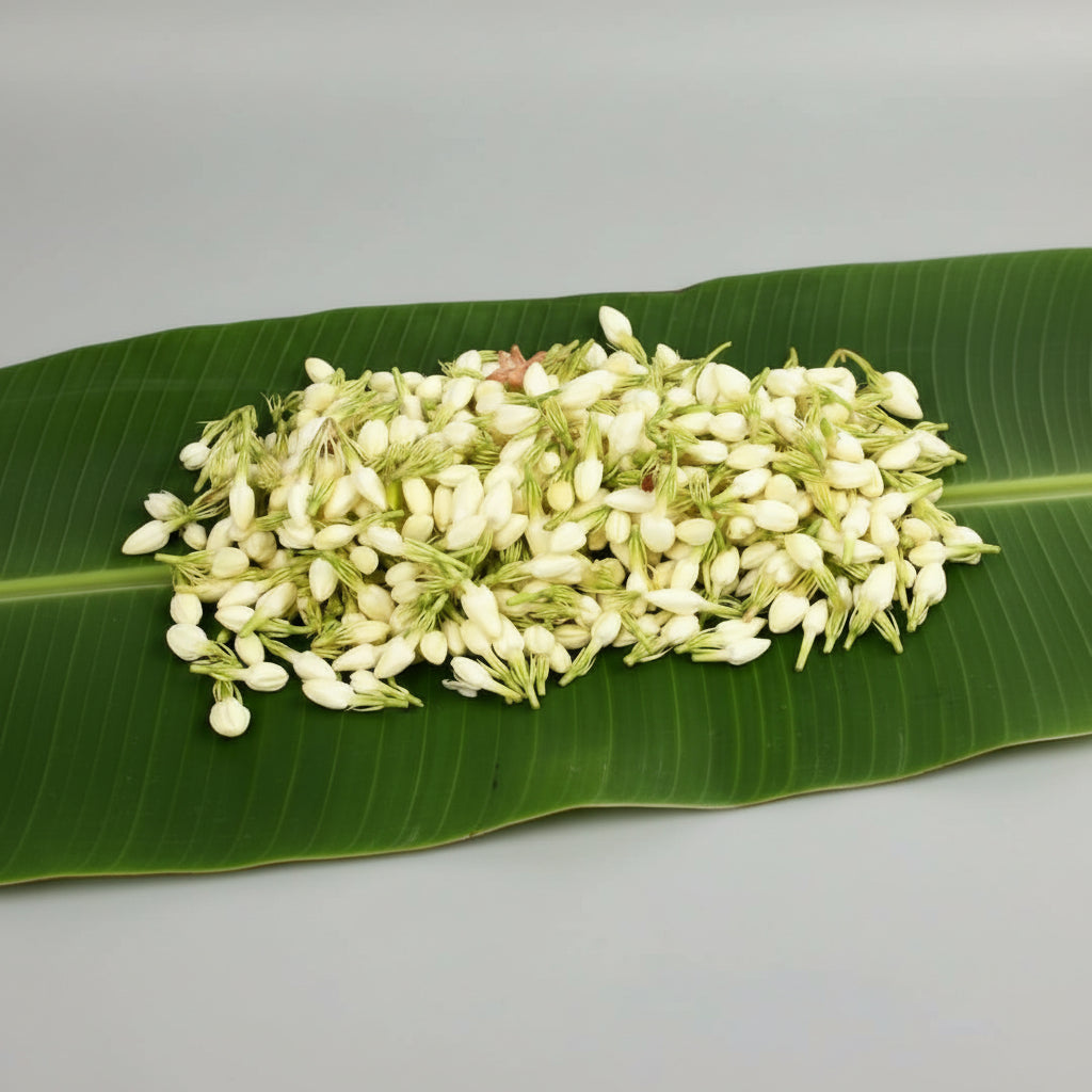 Mogra Flower-15 Kgs