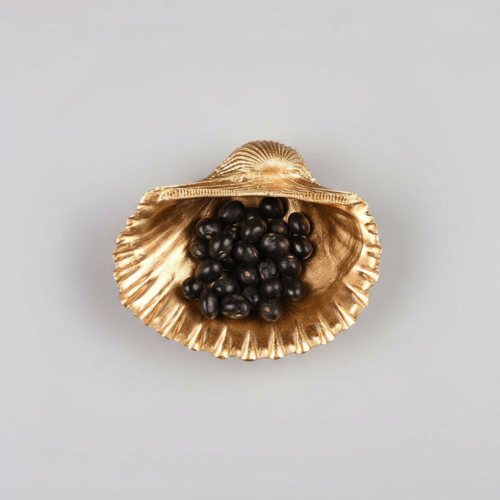 Sea Shell With Gunja (Chirmi)-White Chirmi (Love & Protection)