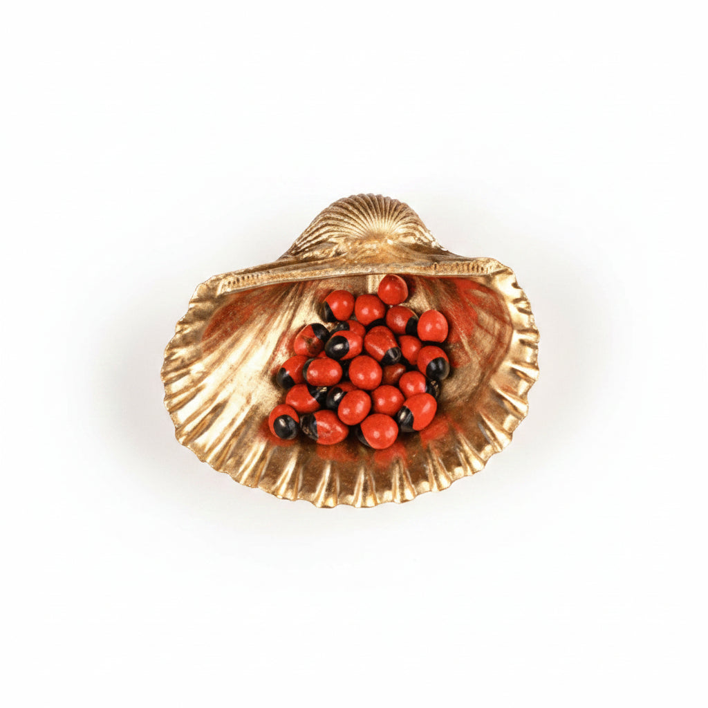 Sea Shell With Gunja (Chirmi)-White Chirmi (Love & Protection)