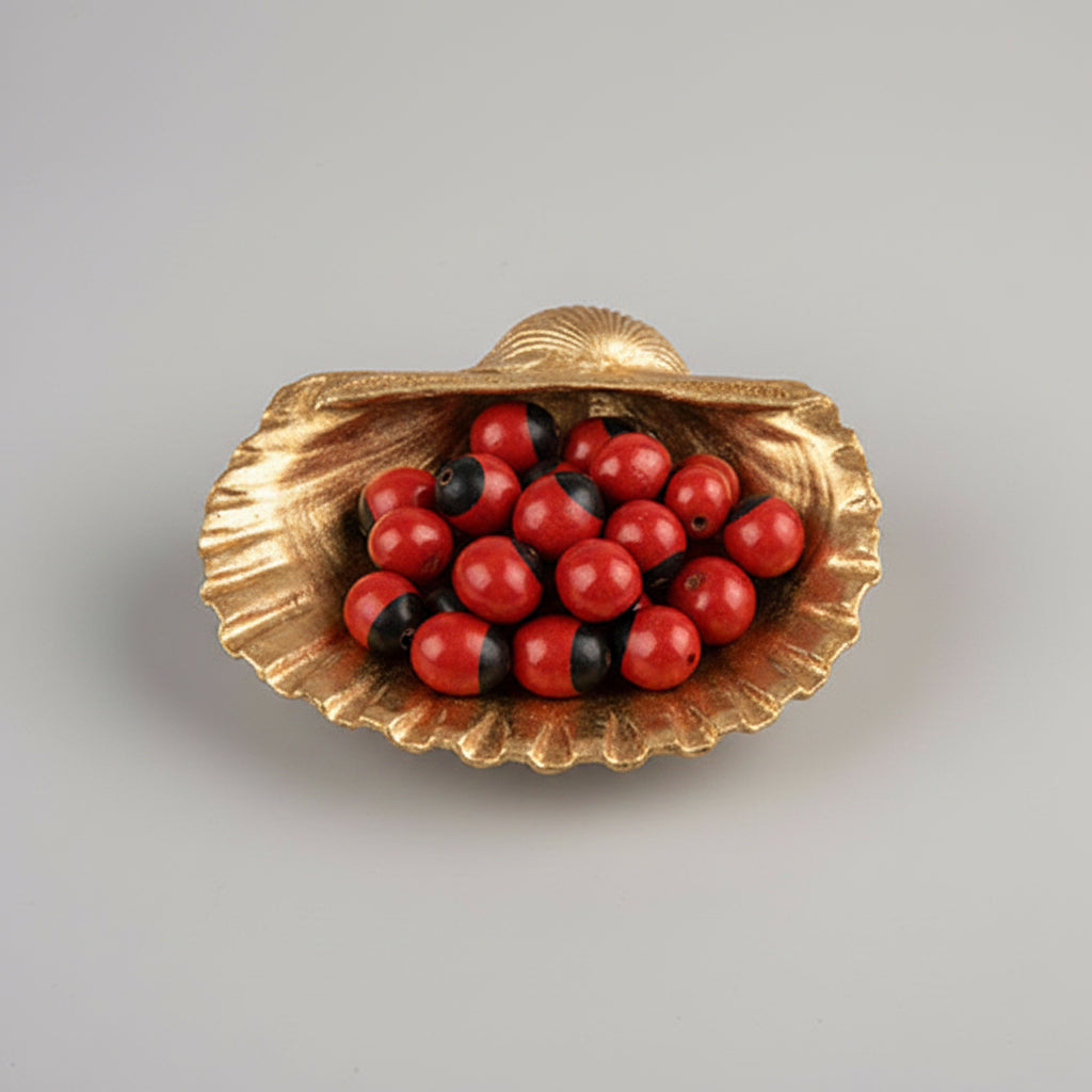Sea Shell With Gunja (Chirmi)-Black Chirmi (Wealth & Prosperity)