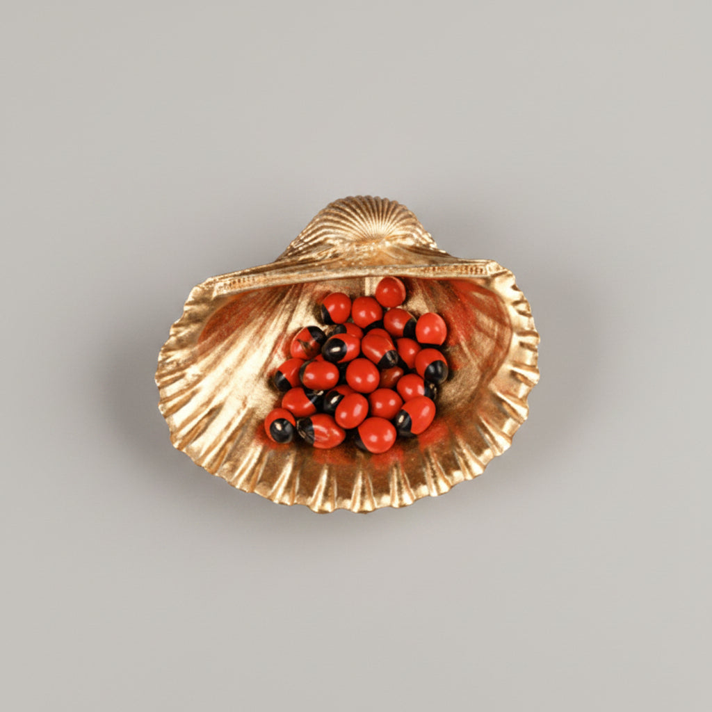 Sea Shell With Gunja (Chirmi)-Red Chirmi (Good Luck & Attraction)