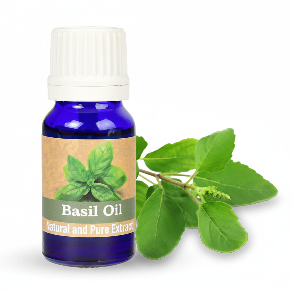Basil Oil-10 ml