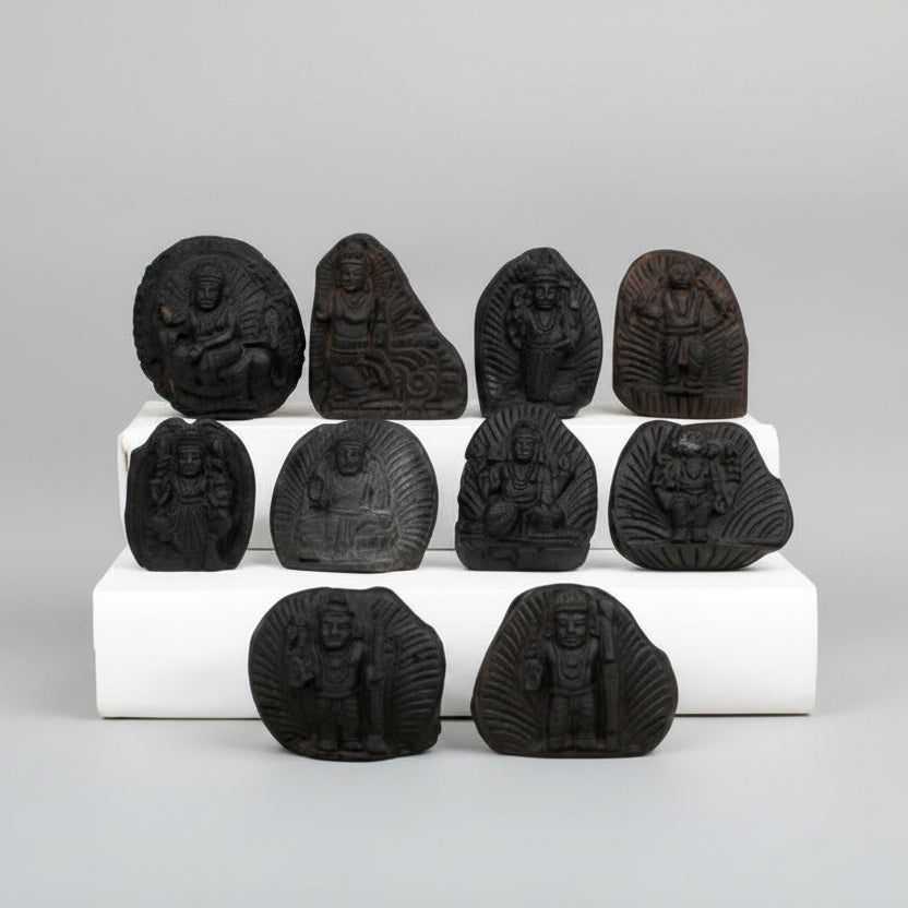 Dashavatar Shaligram Murti Set