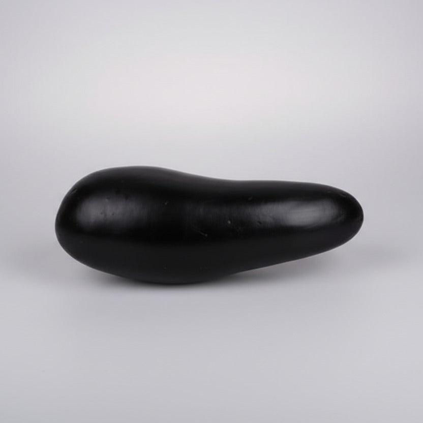 Matsya Shaligram Shila