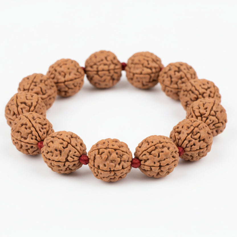 3 Mukhi Nepali Rudraksha Adjustable Bracelet-Regular