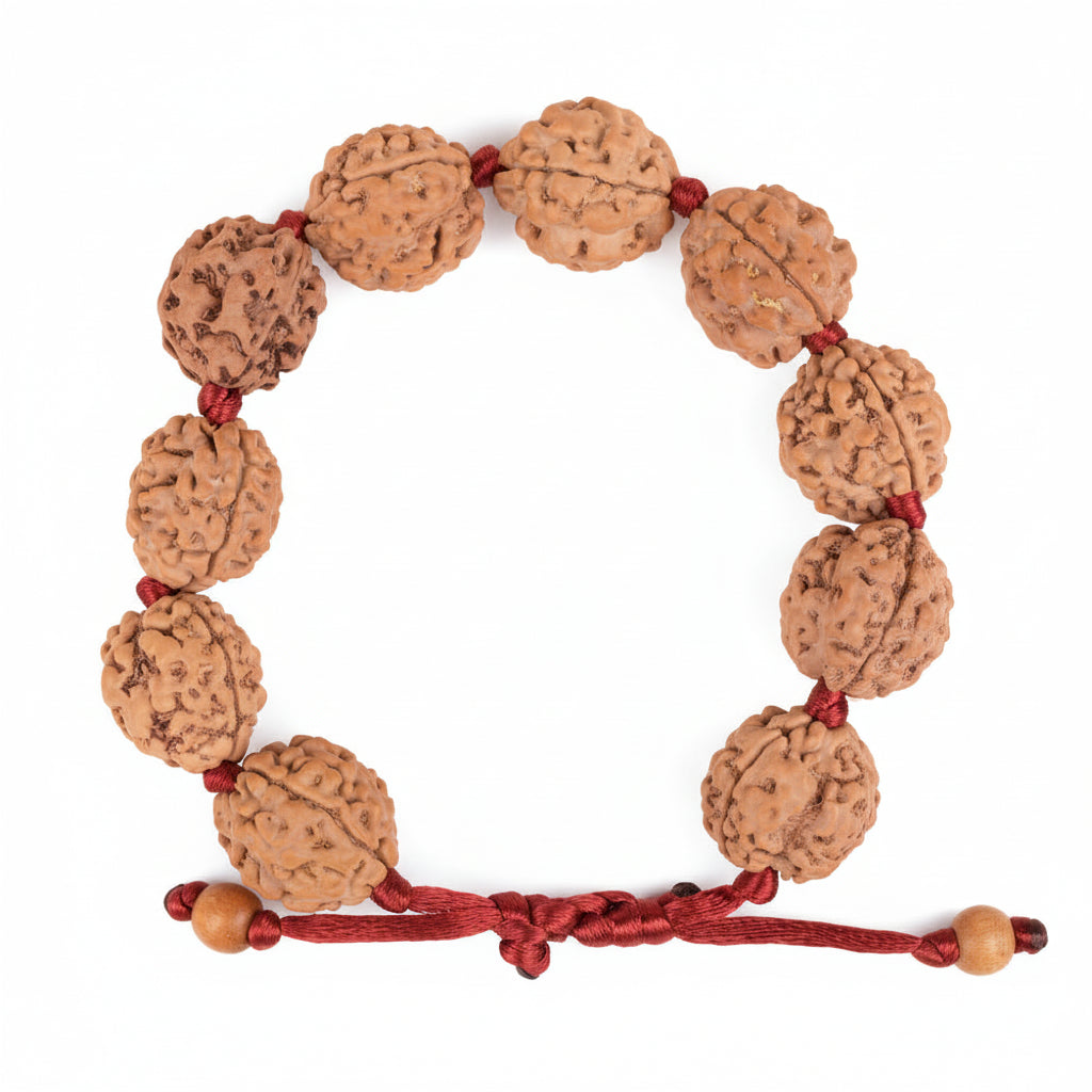 3 Mukhi Nepali Rudraksha Adjustable Bracelet-Small