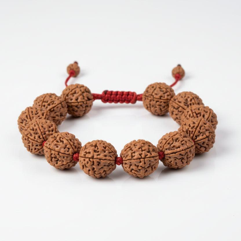 3 Mukhi Nepali Rudraksha Adjustable Bracelet-Small