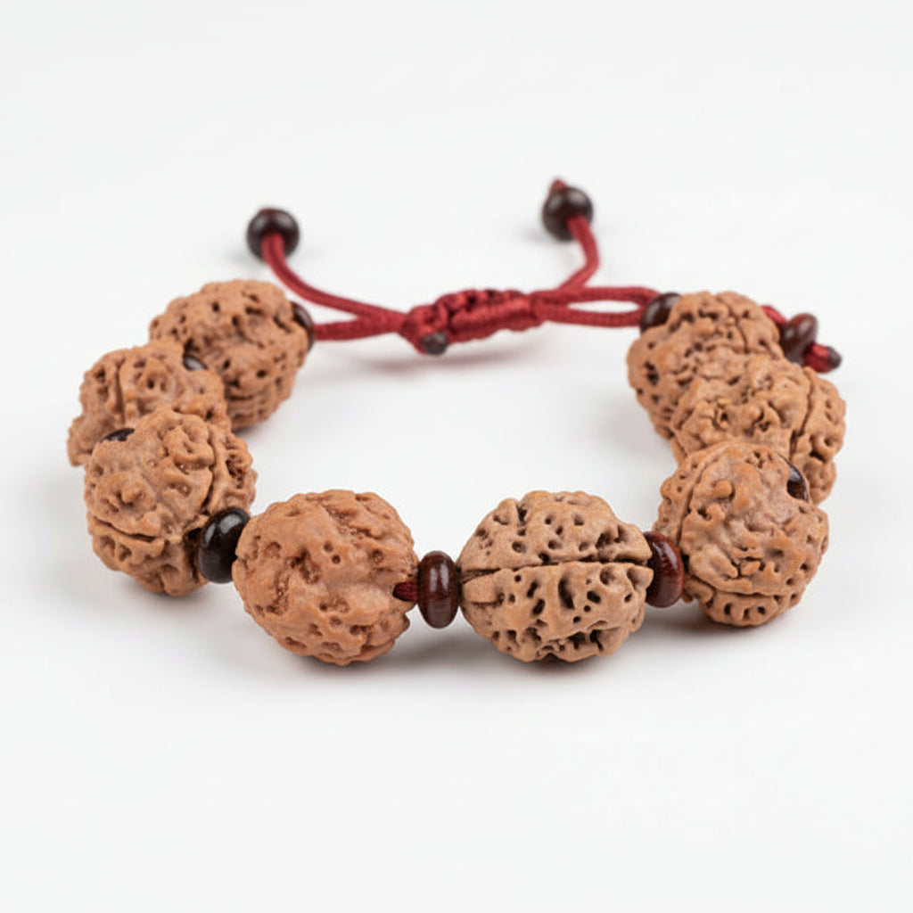 3 Mukhi Nepali Rudraksha x Red Sandal Adjustable Bracelet-Small