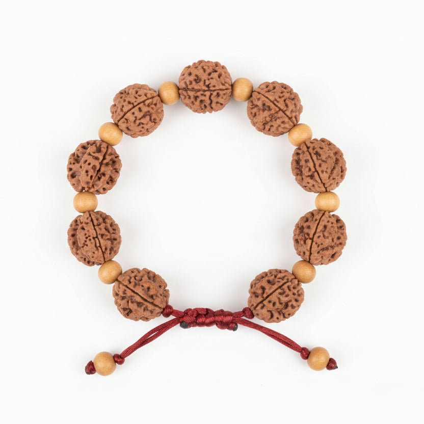 3 Mukhi Nepali Rudraksha x White Sandal Adjustable Bracelet-Regular