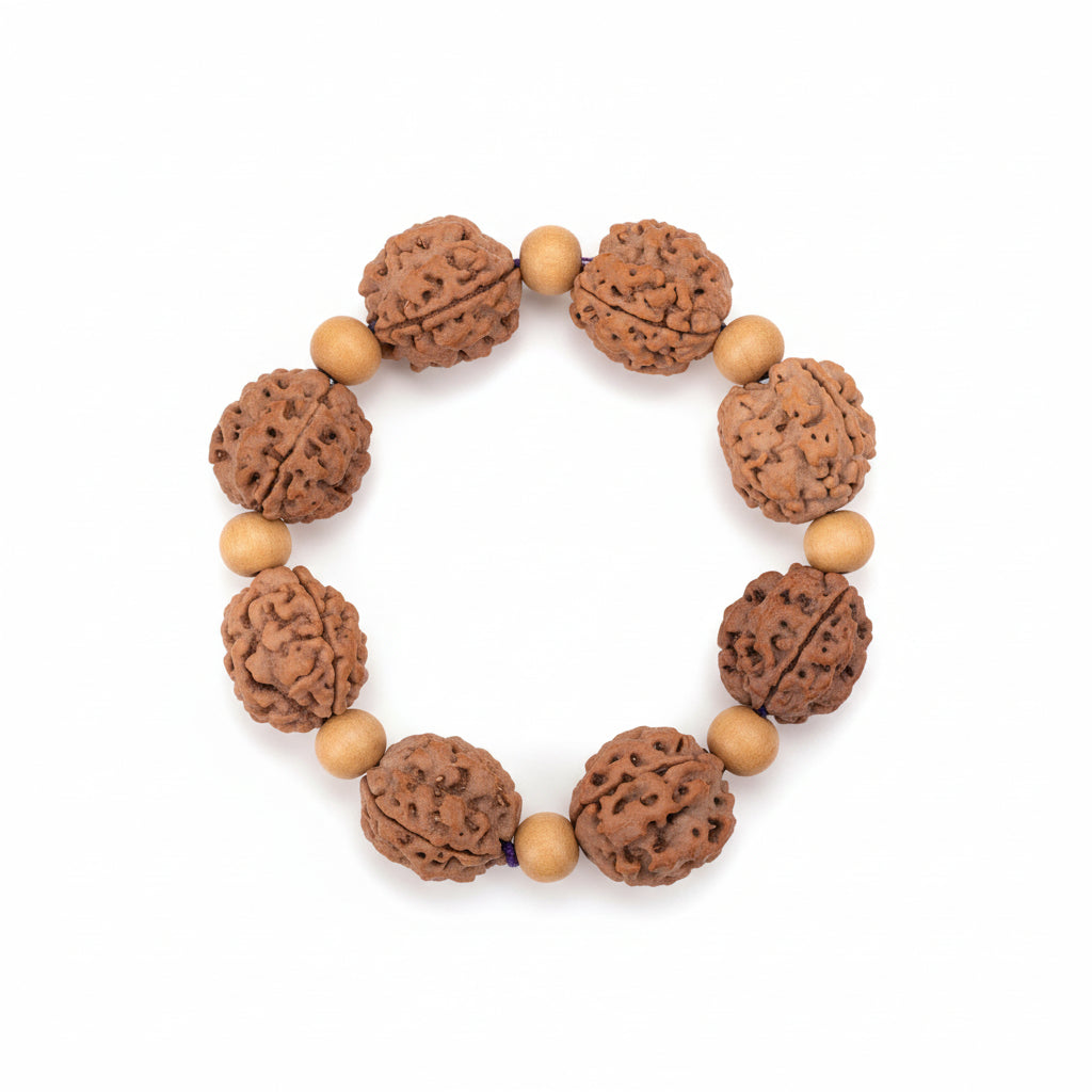3 Mukhi Nepali Rudraksha x White Sandal Bracelet-Regular