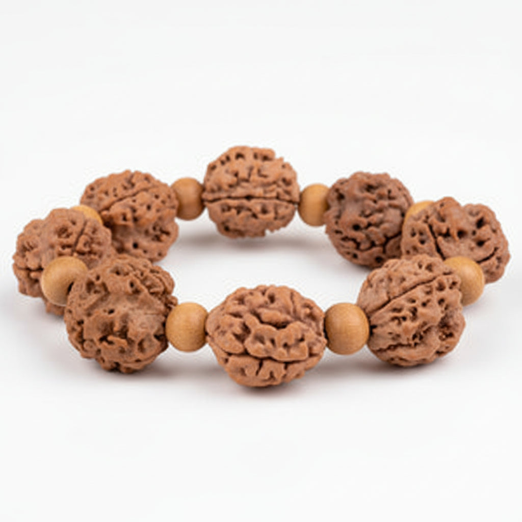 3 Mukhi Nepali Rudraksha x White Sandal Bracelet-Regular