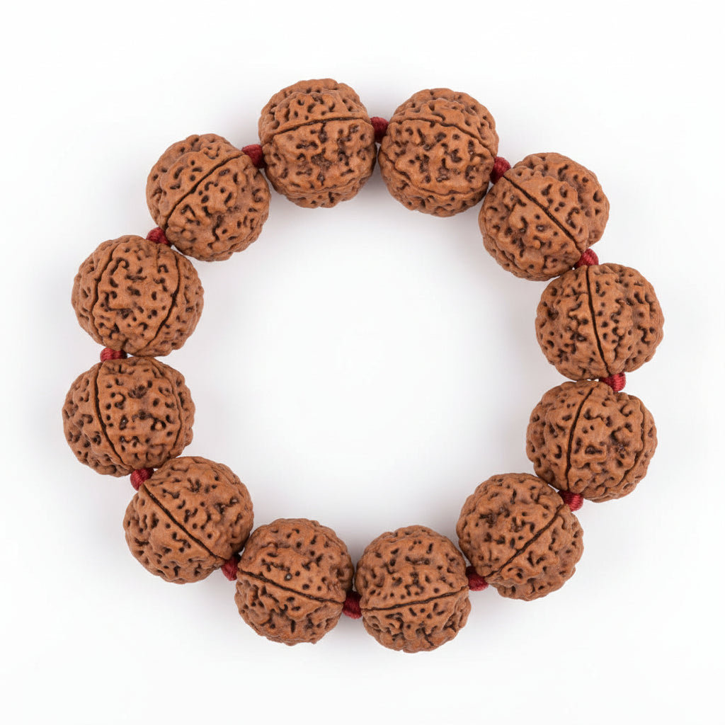 4 Mukhi Nepali Rudraksha Adjustable Bracelet-Small