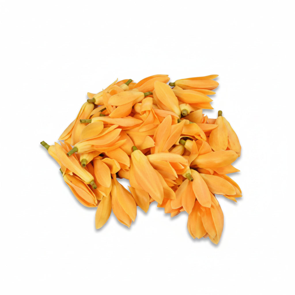 Champa Flower / Plumeria-50 Flowers