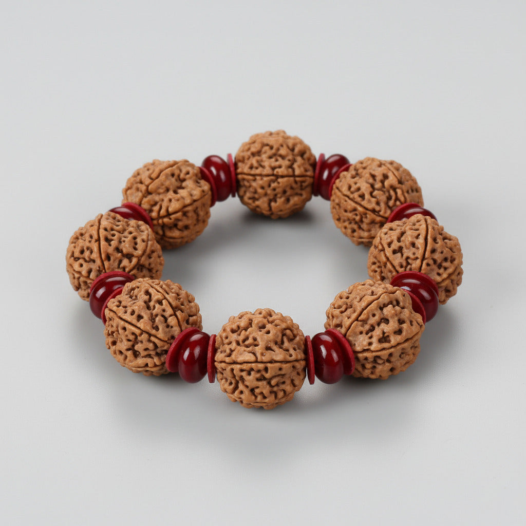 6 Mukhi Rudraksha Bracelet with Red Sandalwood Beads from Nepal