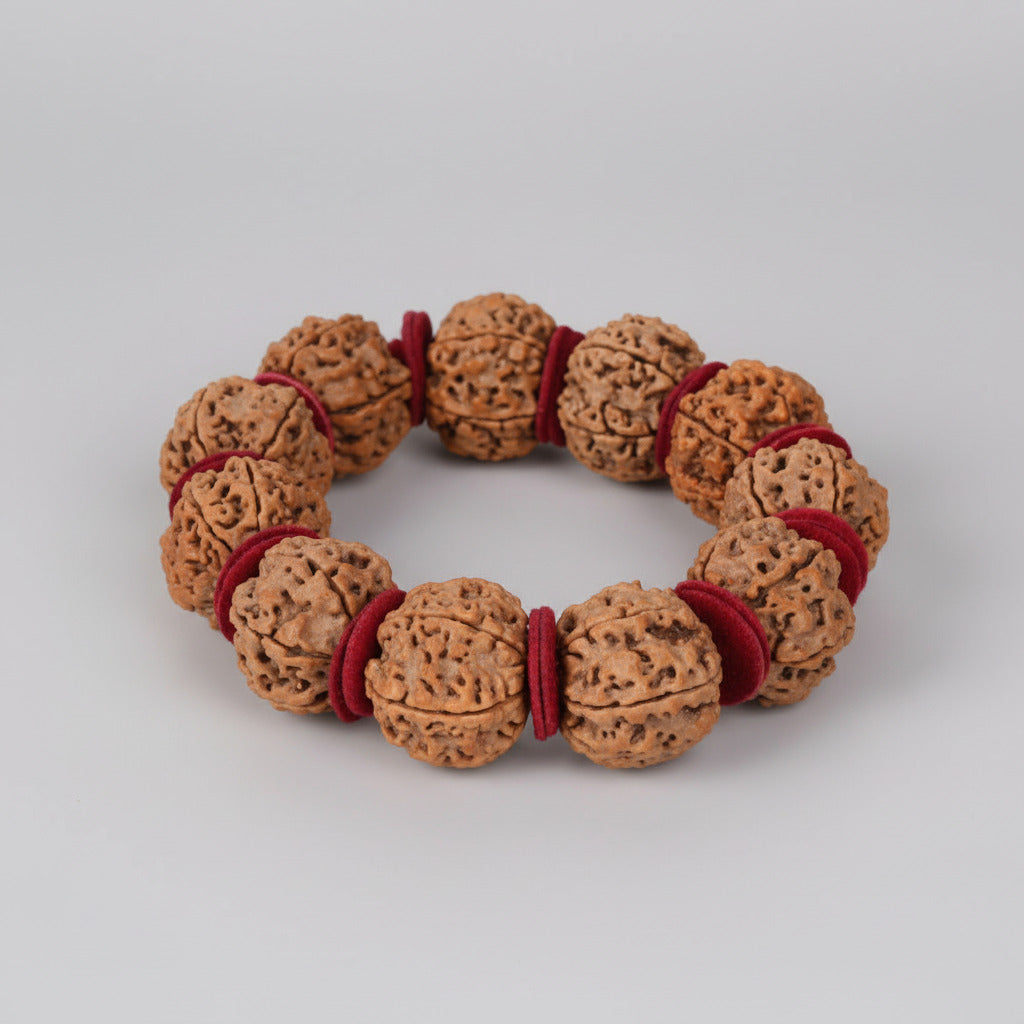 6 Mukhi Rudraksha Beads Bracelet from Nepal