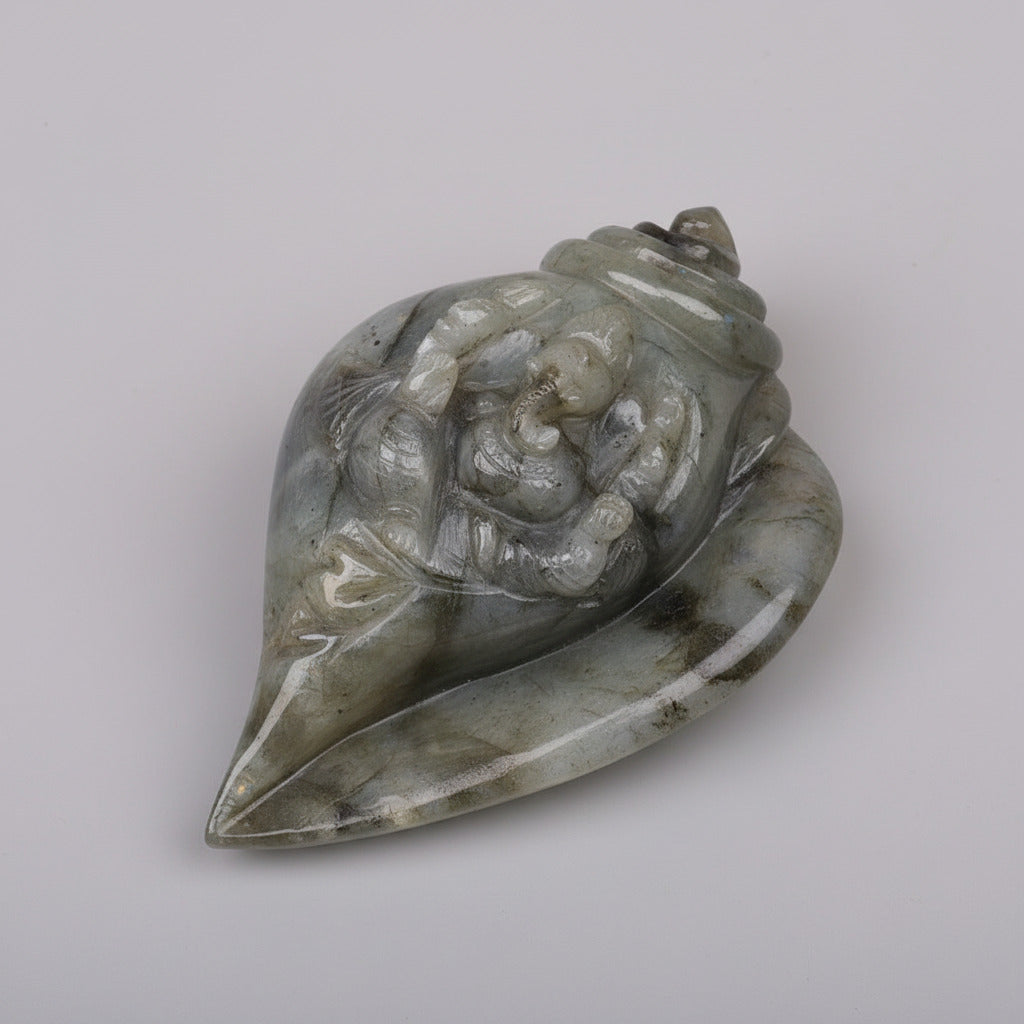 Ganesha Shankh in Labradorite - 800 gms
