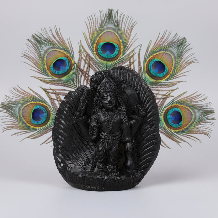 Vishnu Shaligram Murti
