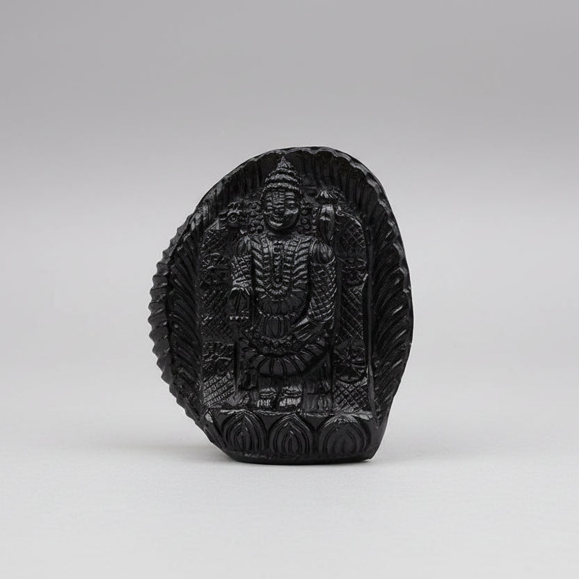 Tirupati Venkateshwara Shaligram Idol
