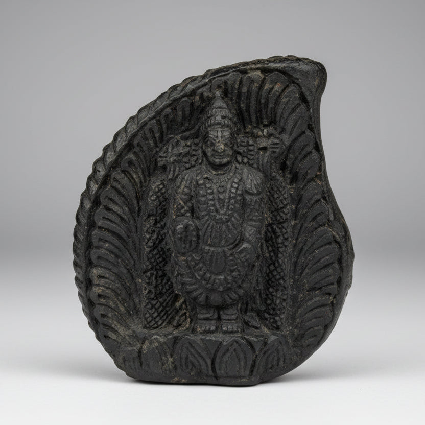Tirupati Balaji (Venkateswara) Shaligram Idol