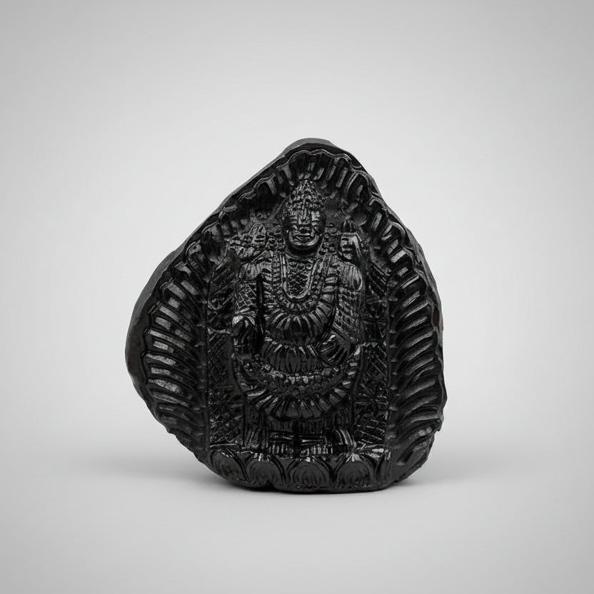 Venkateshwara Balaji Shaligram Idol