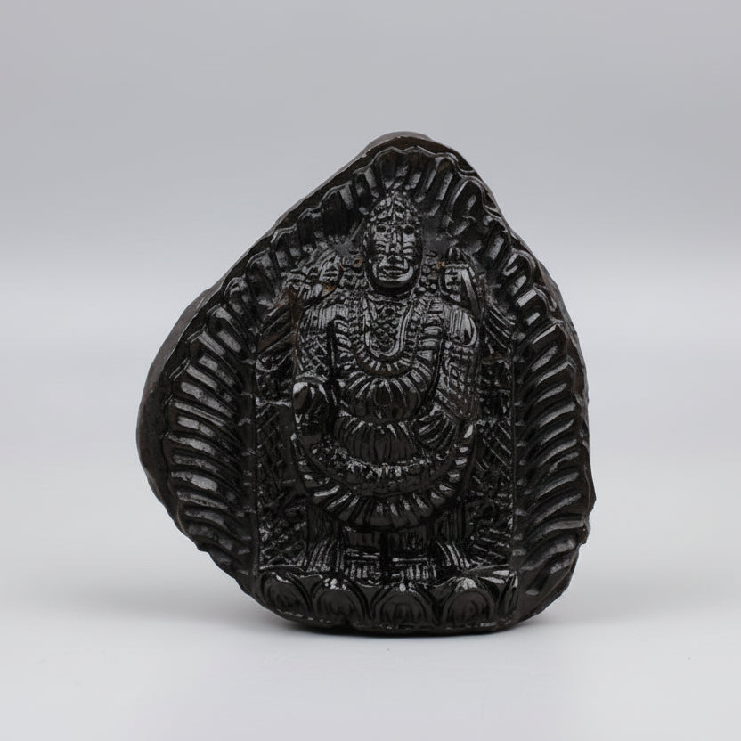Venkateshwara Balaji Shaligram Idol