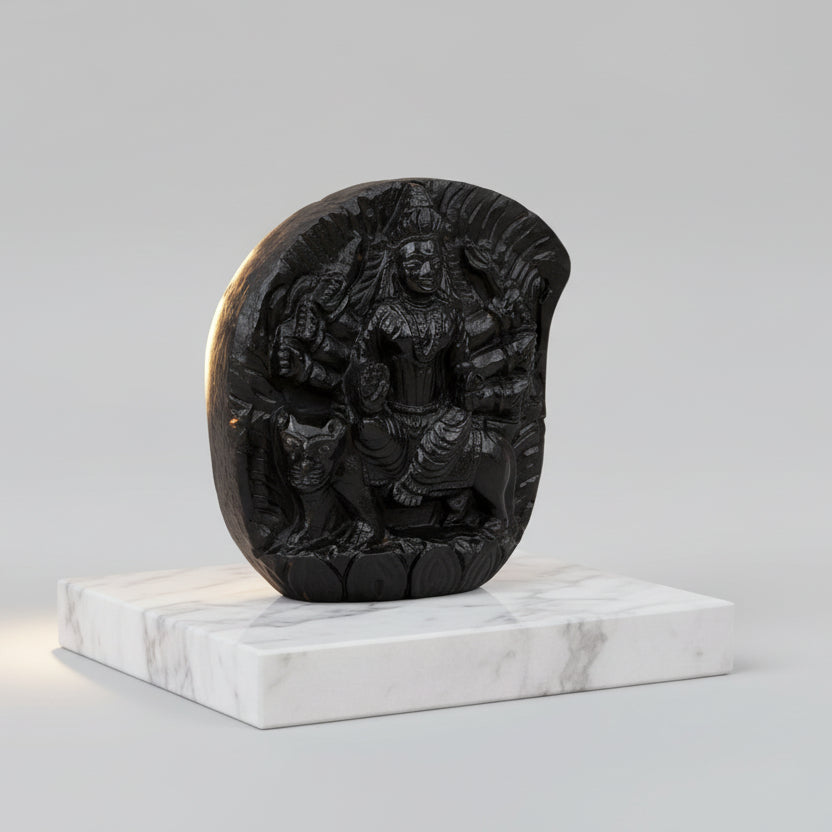 Durga Mata Shaligram Murti