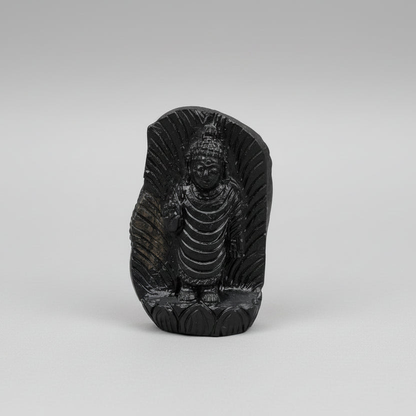 Lord Buddha Shaligram Murti
