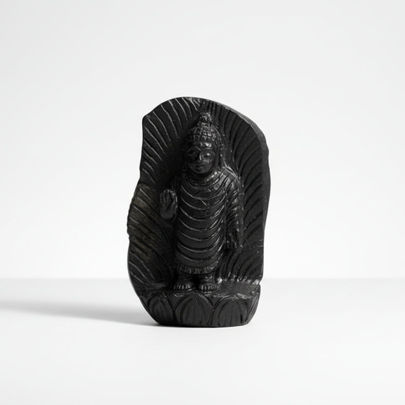 Lord Buddha Shaligram Murti