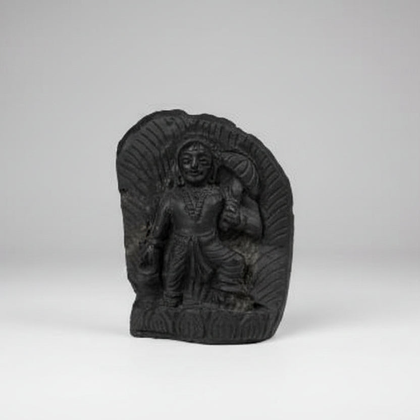 Vamana Shaligram Murti